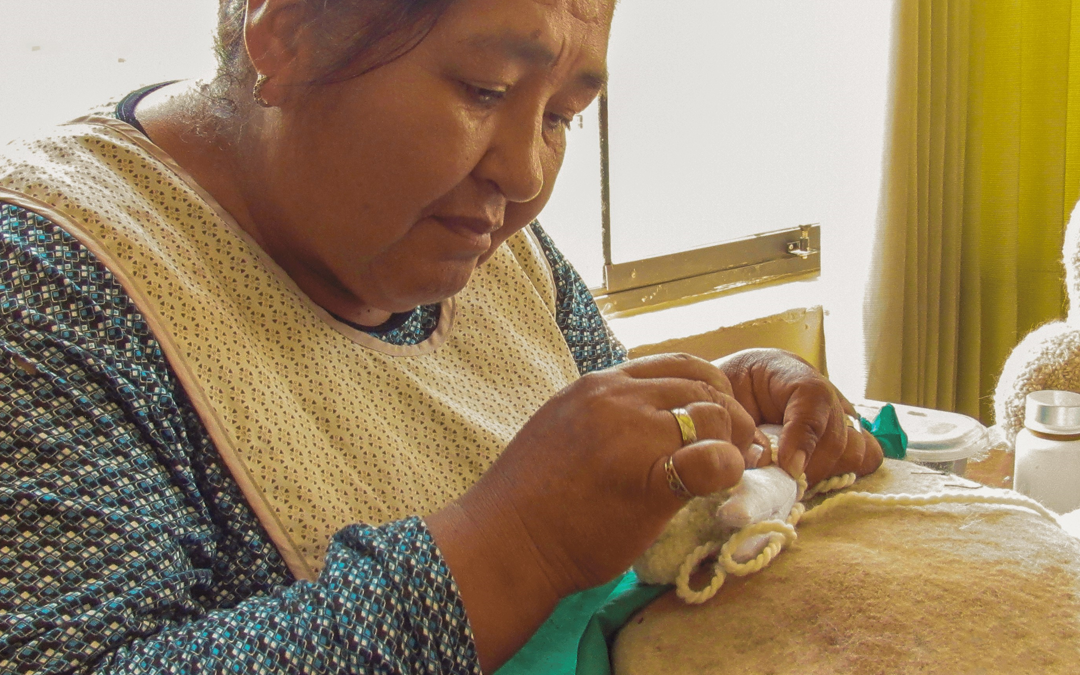 Weaving Dreams: Martha Journey at Alpaca Kapchy